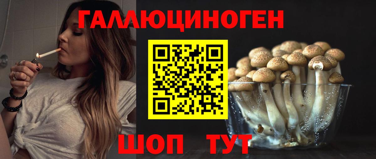 Галлюциногенные грибы прущие грибы Вышний Волочёк